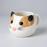 Calico Cat